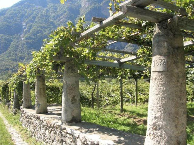 Borgofranco d'Ivrea Asd -Sport E Giovani酒店 外观 照片
